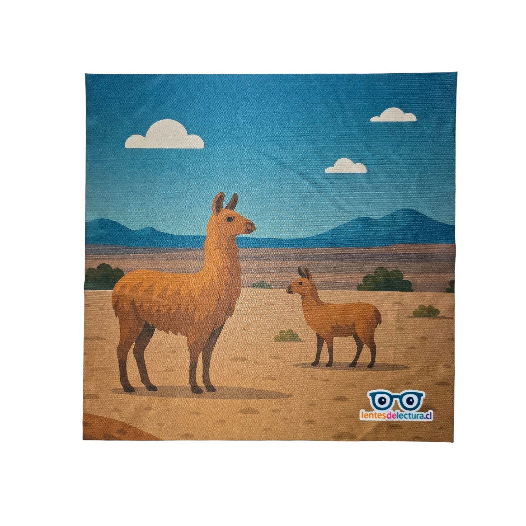 Paño de limpieza Buhu - Pack 3 Unidades